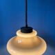 Mid Century Herda mushroom suspension