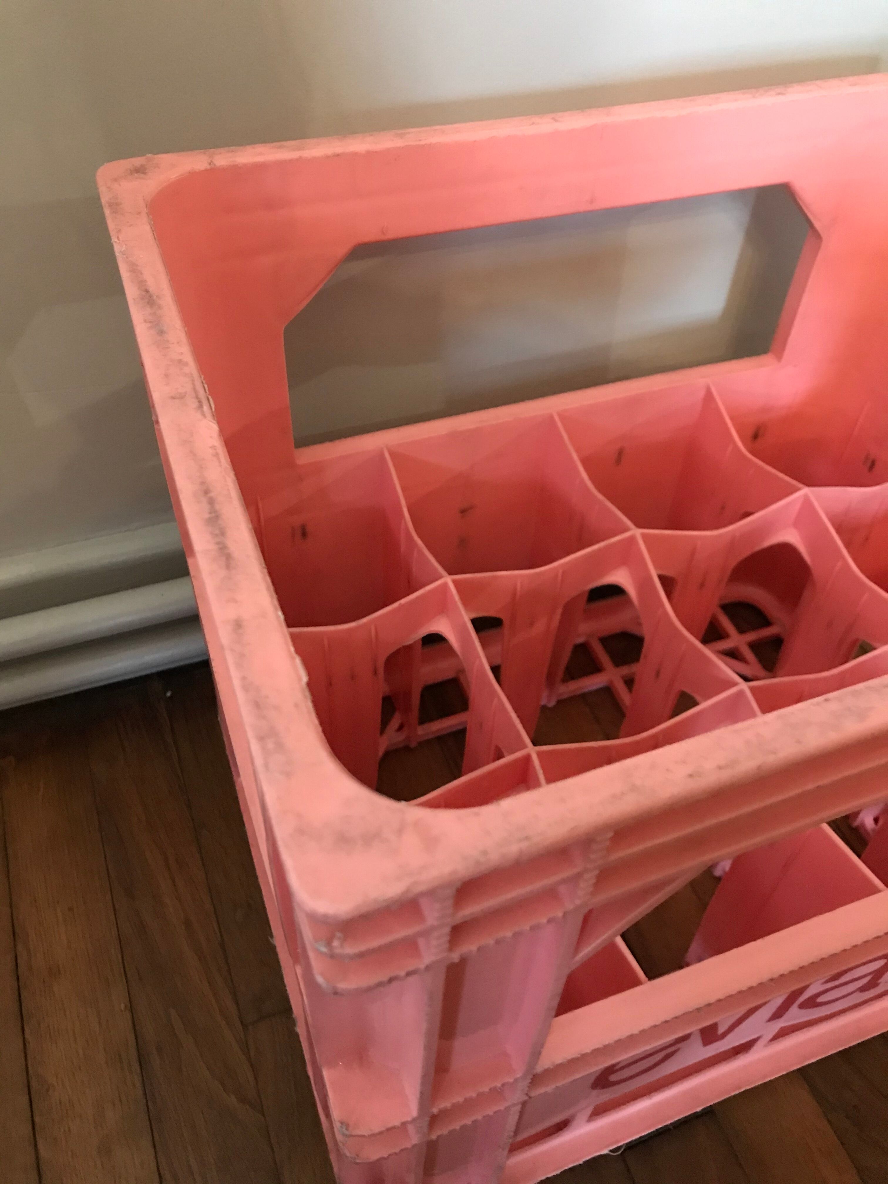 Pink Evian case