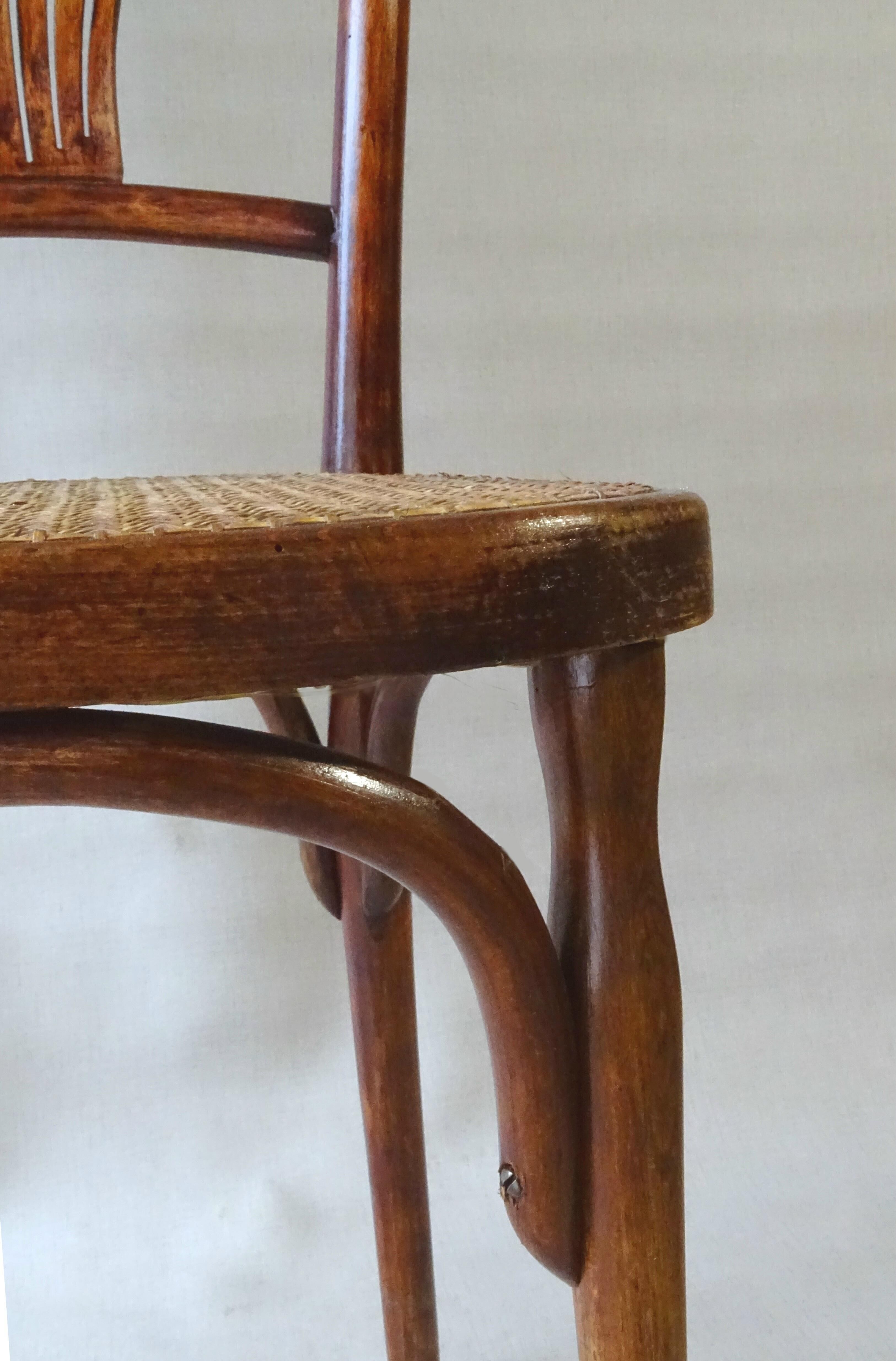 Two bistro chairs kohn n°196 in palmette, circa 1906, tanned