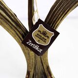 Art Nouveau brass flower candle holder