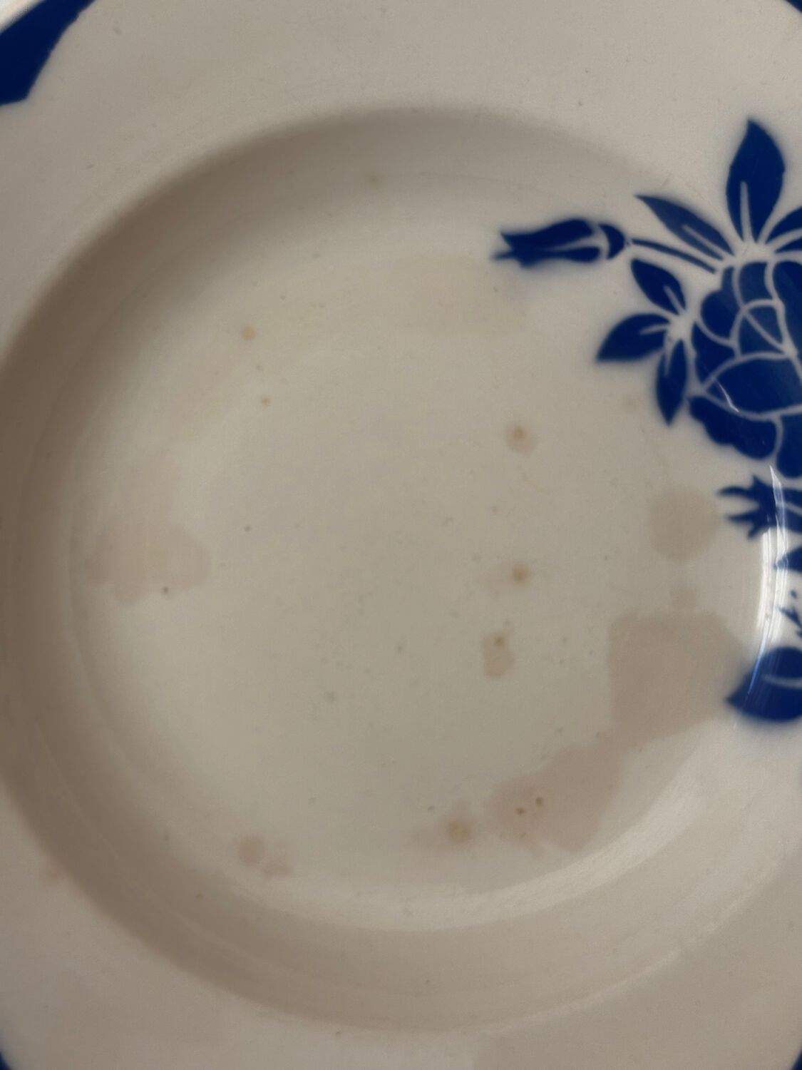 Set of 2 antique deep plates Digoin Sarreguemines Corsica