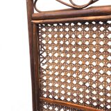 Cane screen