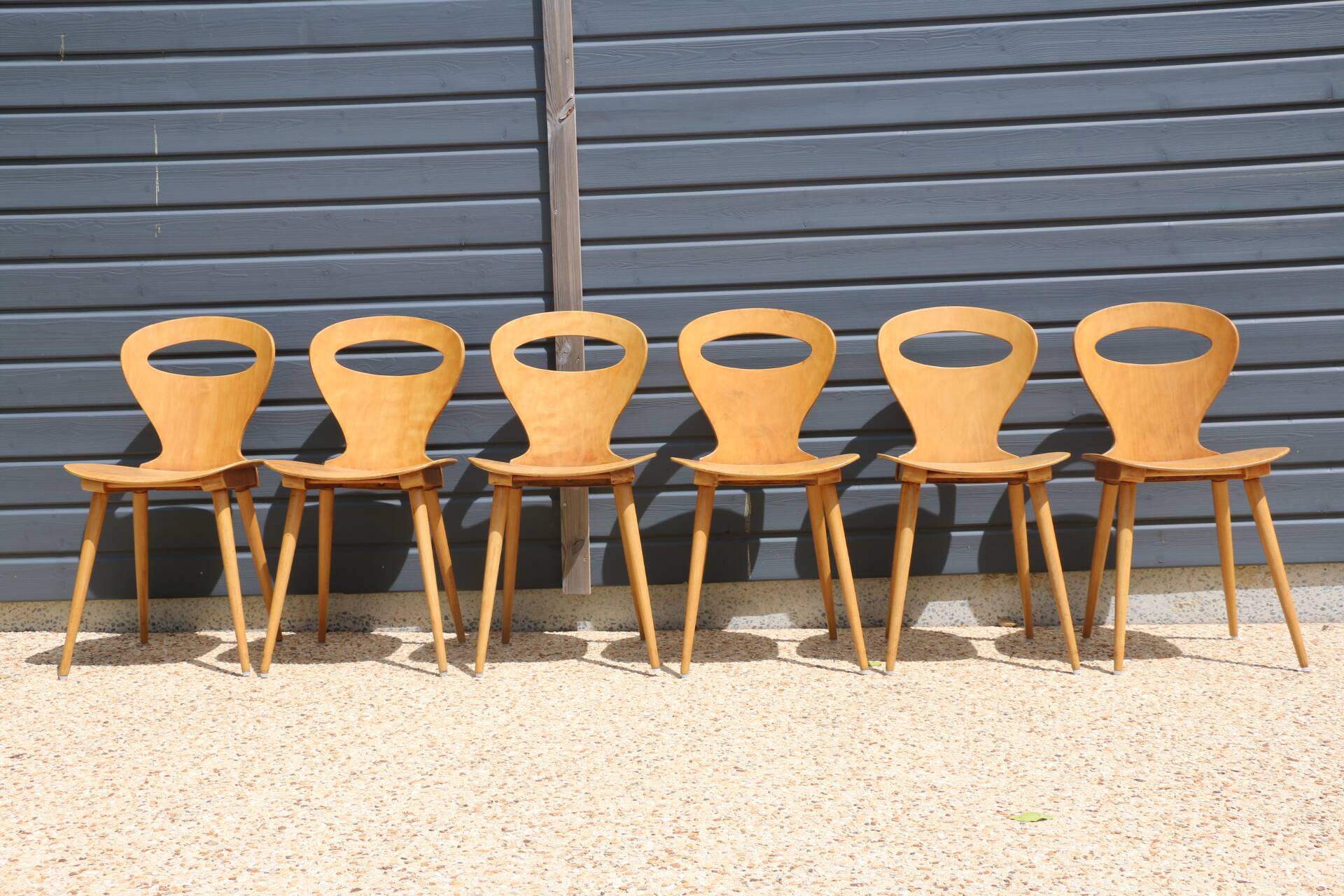 6 BAUMANN V2 chairs in light beech