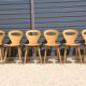 6 BAUMANN V2 chairs in light beech