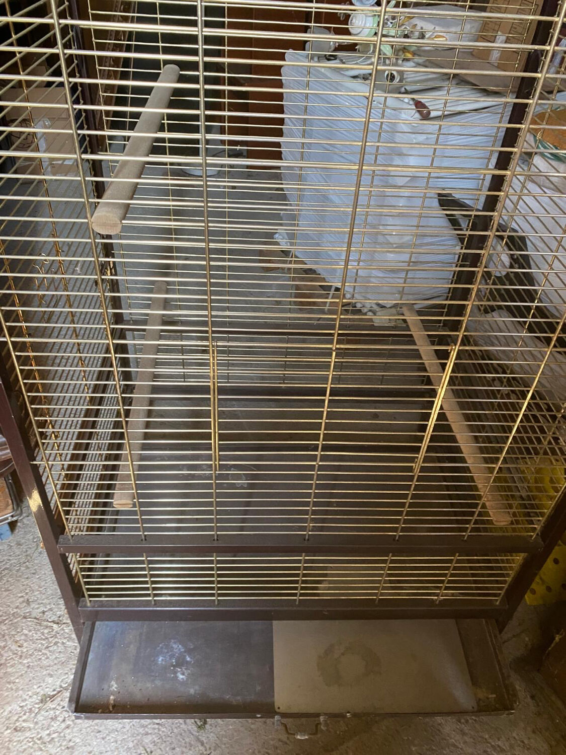 Large vintage parrot cage