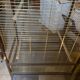 Large vintage parrot cage