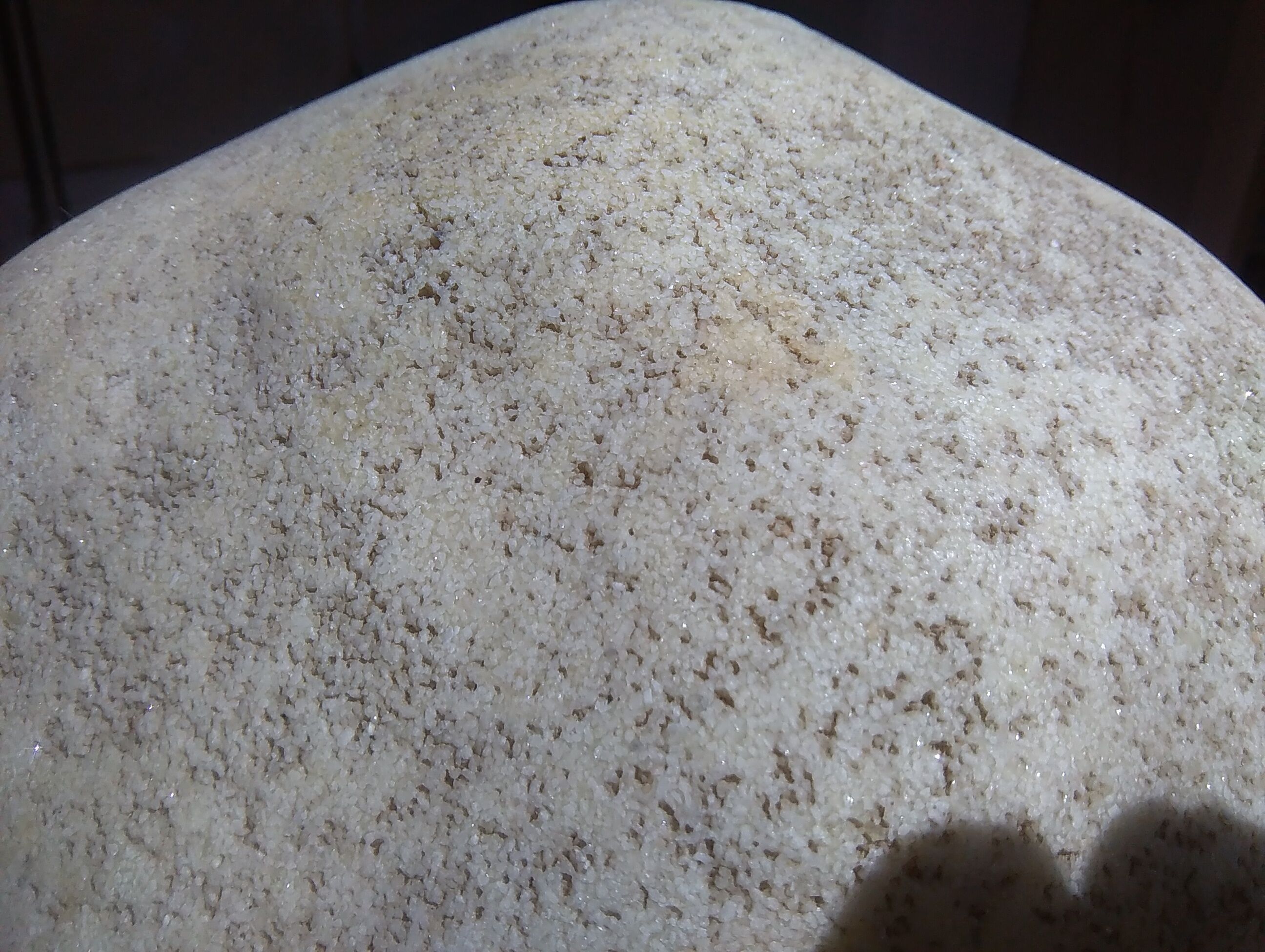 Lamp model Dora design A.Cazenave