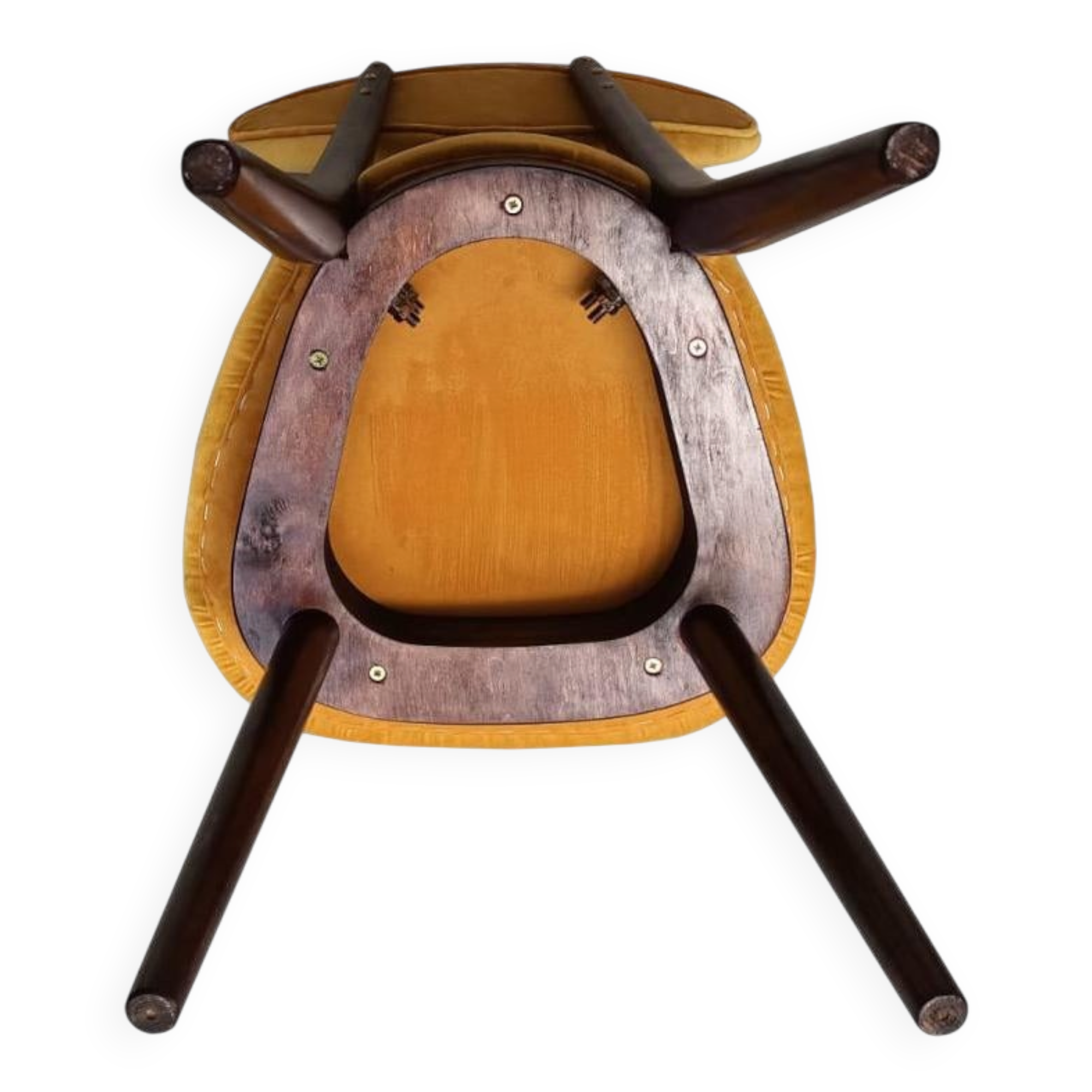 Yellow velvet heart-shaped chair, walnut wood, mid-century, Poland, 1960s.