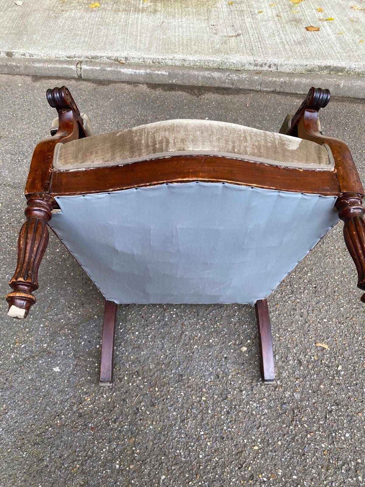 Imperial armchair in mahogany and grey velvet from the 19th century
