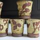 Set of six ''Yunomi'' cups Japanese Art