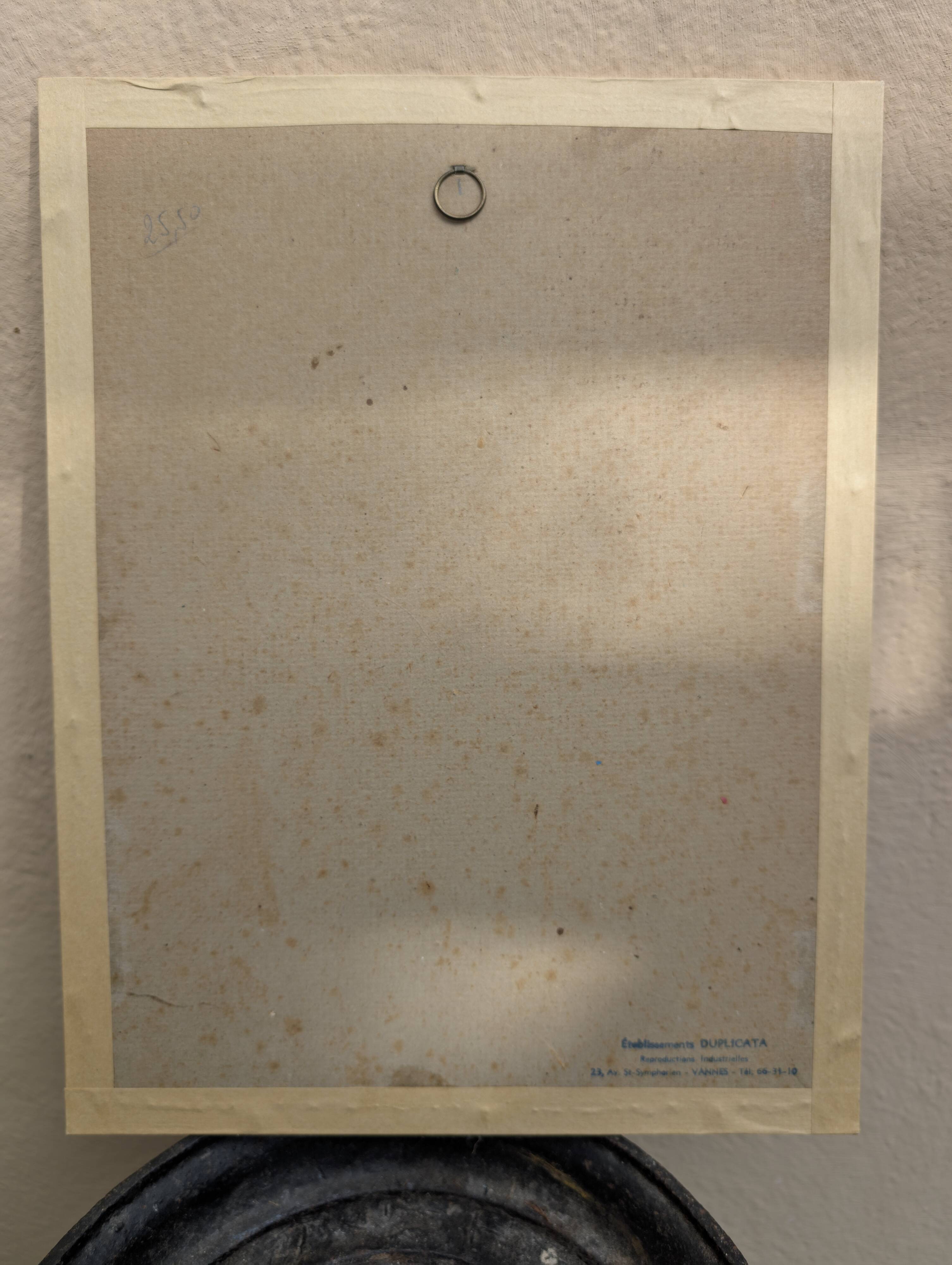 Ornithological board