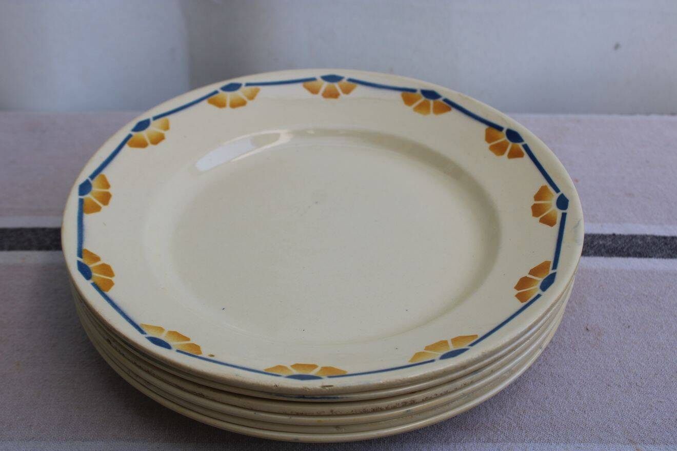 Set of 6 ceramic dinner plates
