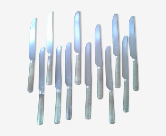 Lot de 12 couteaux lame inox dans le coffret d origine.