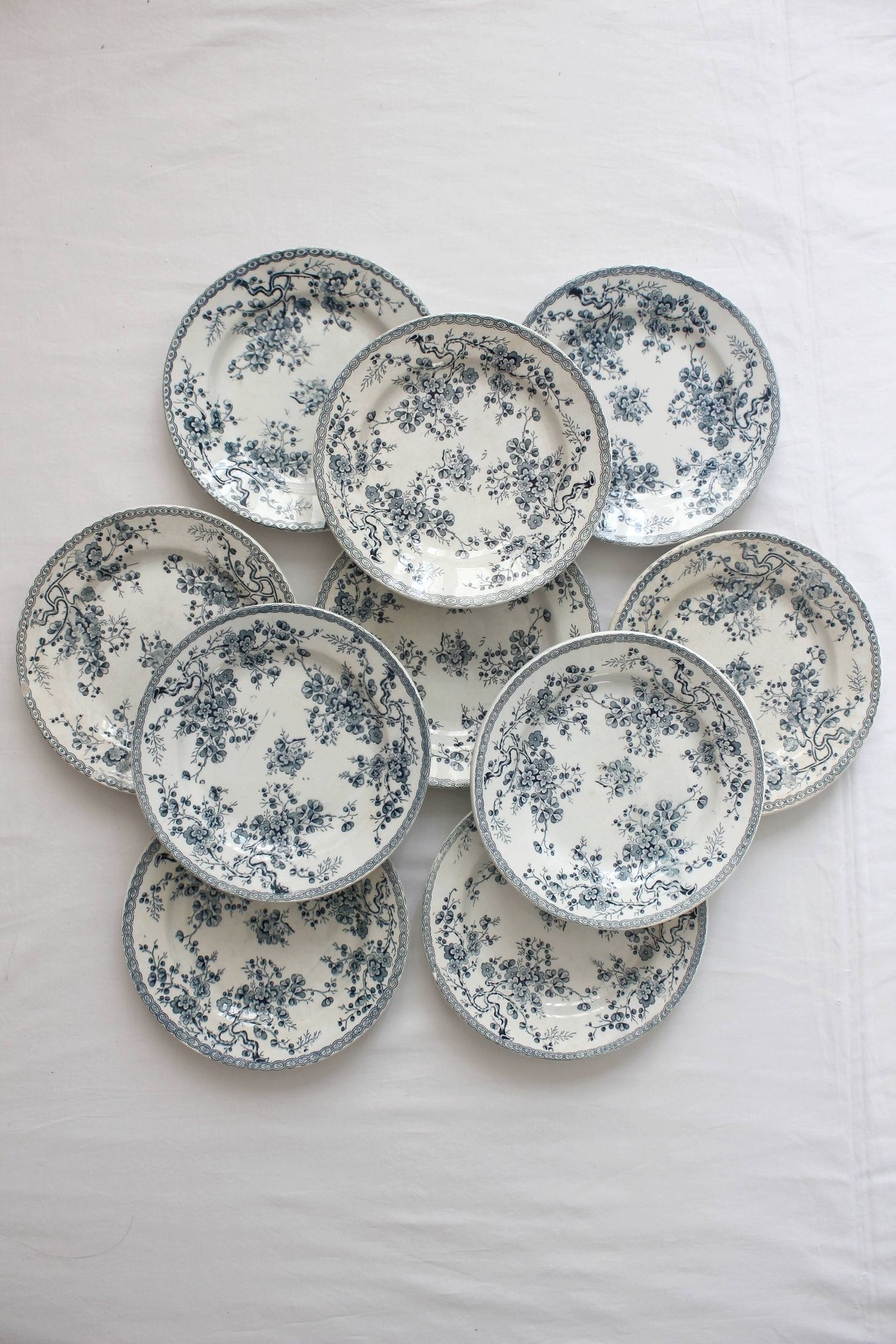 10 flat plates in iron earth "Fleurette" Gien gold medals