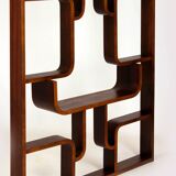 Restored Mid-Century Room Divider by Ludvik Volak for Drevopodnik Holesov, 1960s