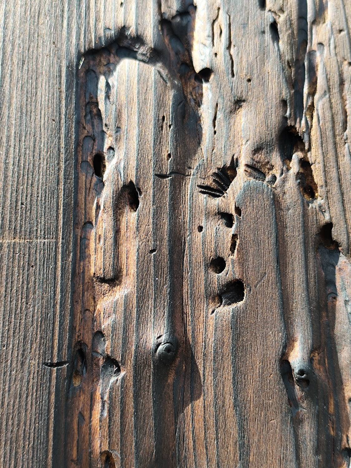 Sculptures contemporaine