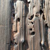 Sculptures contemporaine