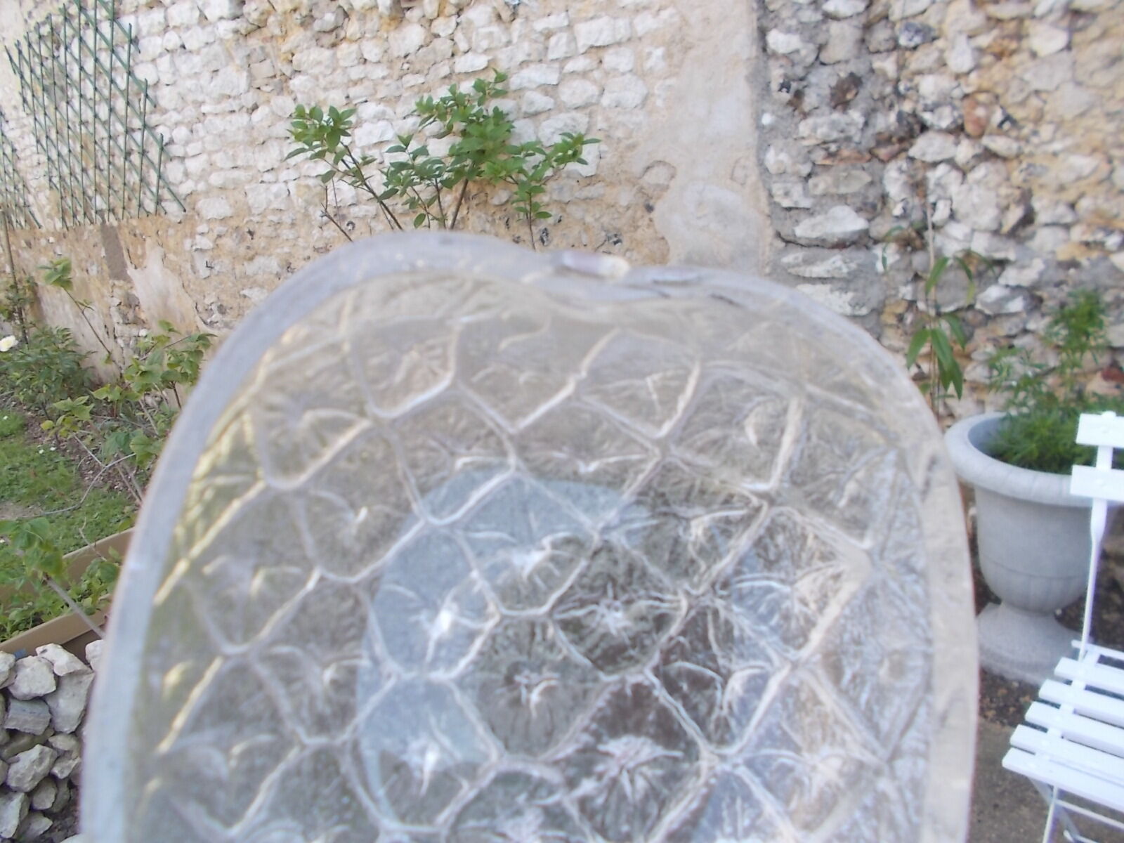 Pineapple fruit salad service