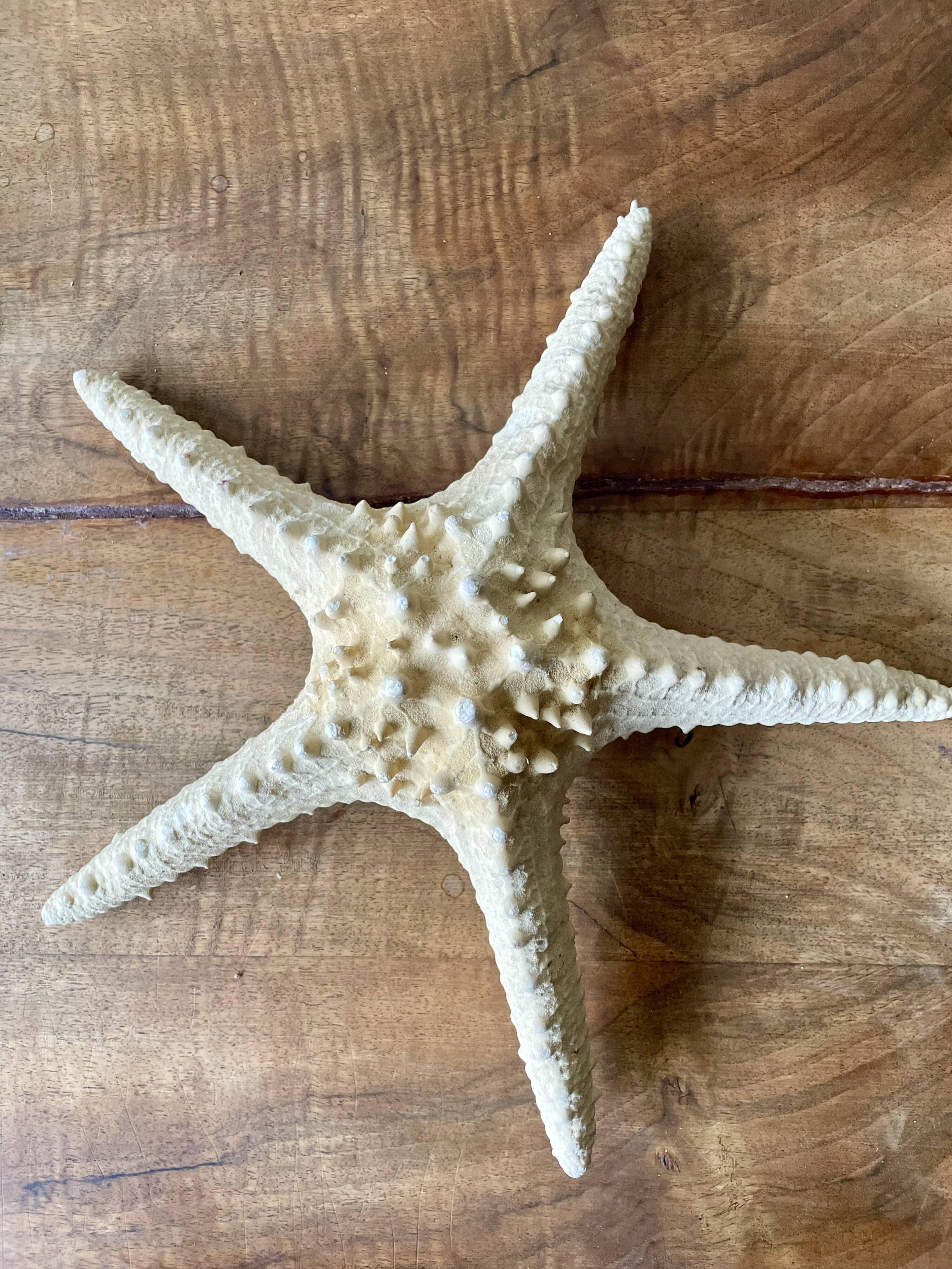 Starfish