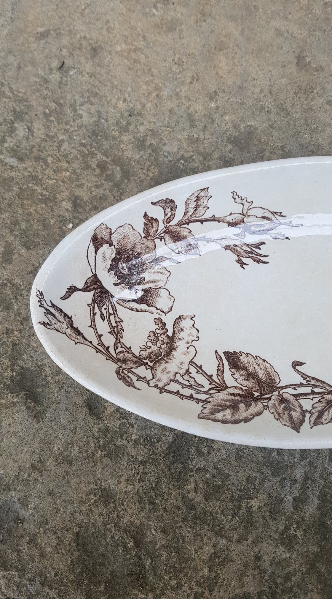 Delight Creil and Montereau model Rosa