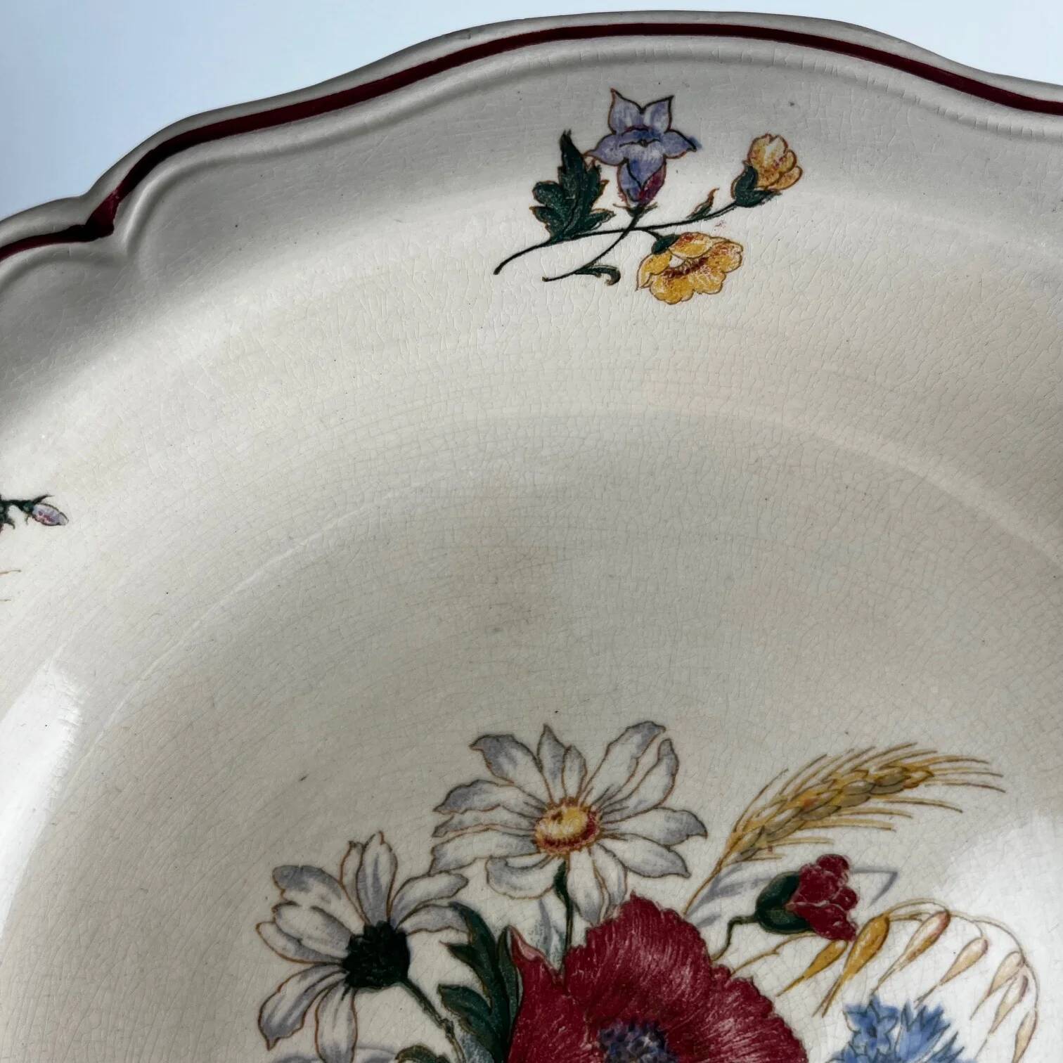 "Low bowl 'Agreste' Sarreguemines, 20th century."