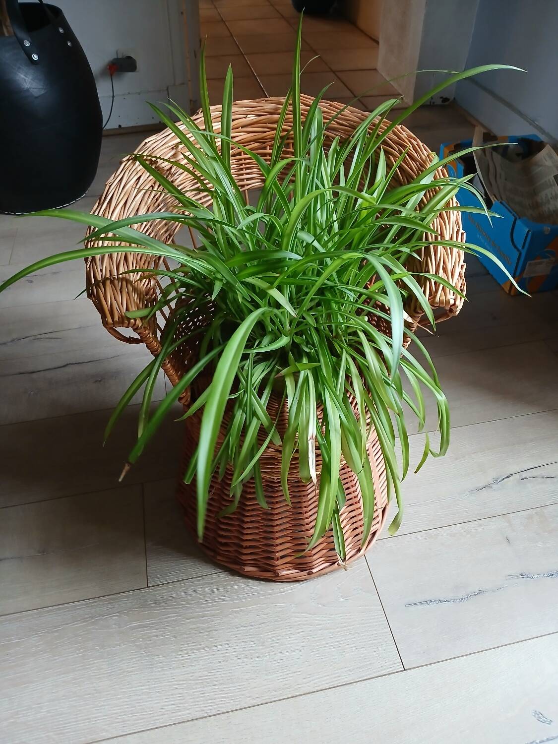 Fauteuil enfant ancien en rotin