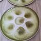 6 oyster plates 60'