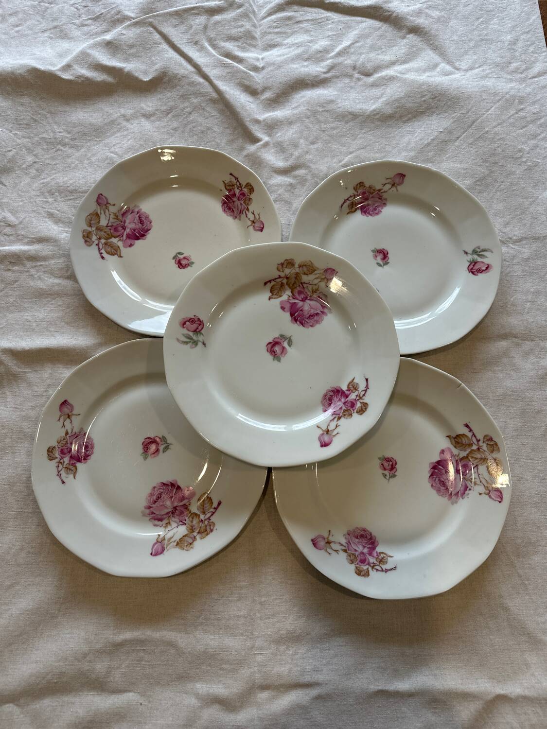 Set of 5 plates with rose patterns.