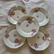 Lot de 5 assiettes motifs de roses