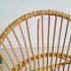 Rattan basket armchair, 1960s