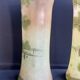 Pair of FT Legras Toul vases – 19th century