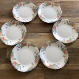 Set of 6 Luminarc Florine plates