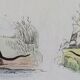 Original zoological plate "field mouse, perch rat, scherman,... - Buffon 1838