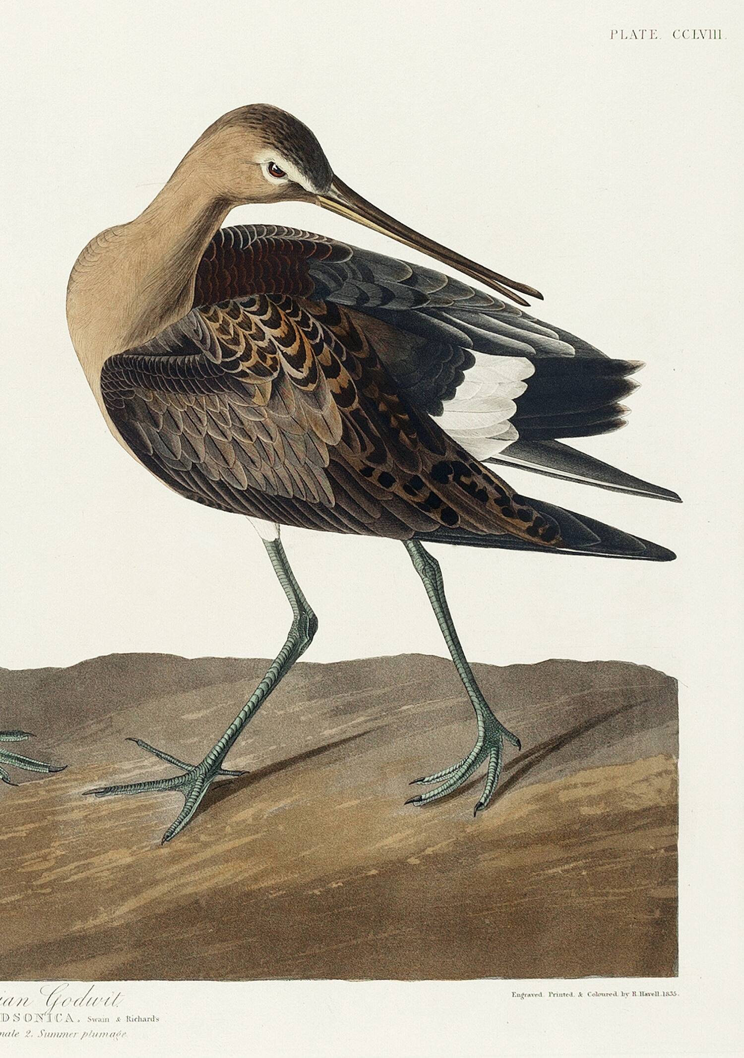 Poster about the Hudson's River Barge, based on an old engraving from 1827.