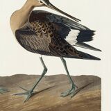 Poster about the Hudson's River Barge, based on an old engraving from 1827.