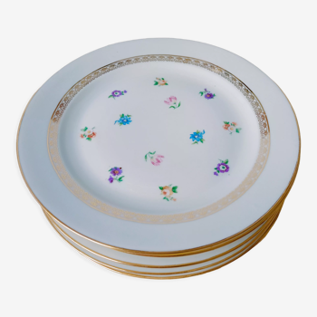 6 Limoges porcelain plates