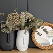 Miroir Mid Century Audoux et Minet