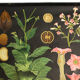 Educational poster 1972 tobacco plant