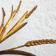 Applique épis de blé