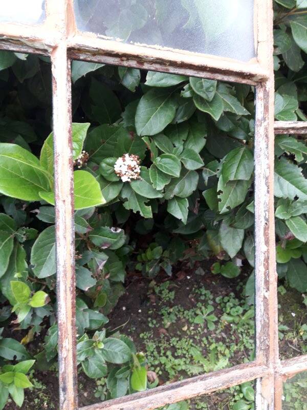 Industrial arched metal windows L73xH110 19th century glass roof