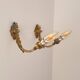 Antique wall lights in gilded brass – Louis XV style, charm and elegance