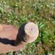 Milking stool