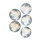 5 flat plates marie Louise terre de fer