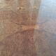 Table basse en loupe de thuya