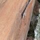 Banc de ferme ou bout de lit