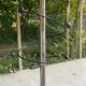 Vintage 1980s Spiral Parrot Coat Rack