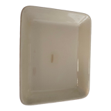 Dish