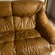Vintage leather sofa