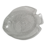 Large fish dish 40x33 transparent