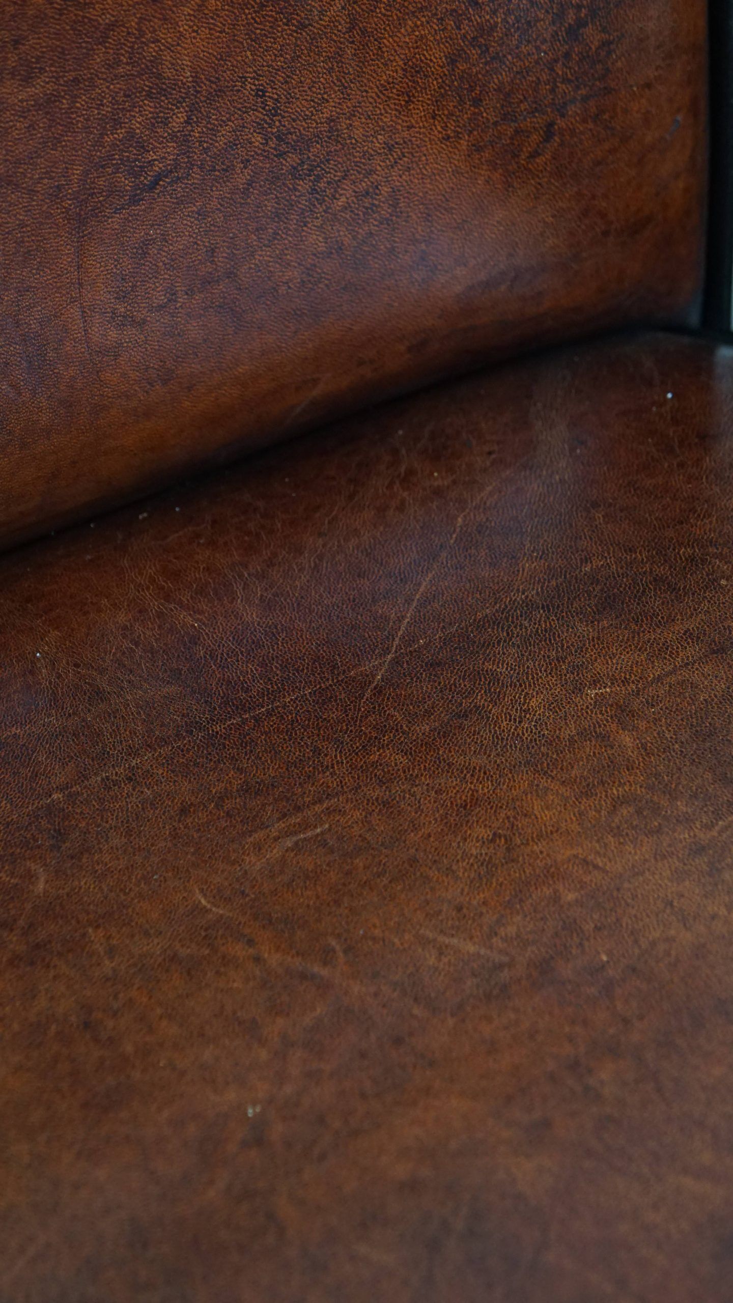 Luxury set of 4 comfortable dining chairs made of sheepskin leather